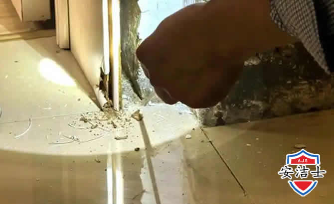 安吉房屋建筑防治白蚁