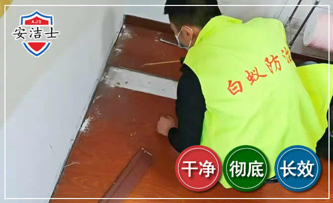 安吉除四害现场