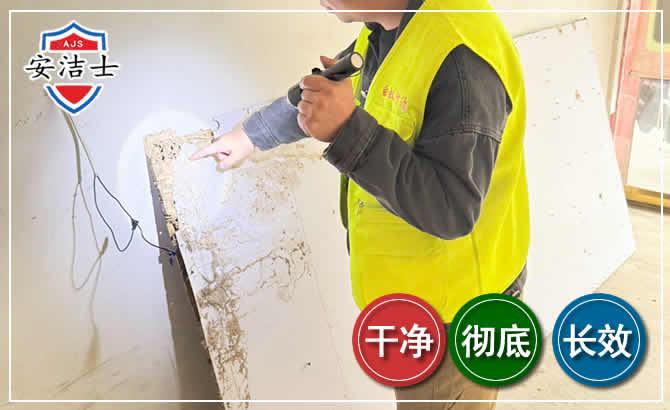 安吉除白蚁现场