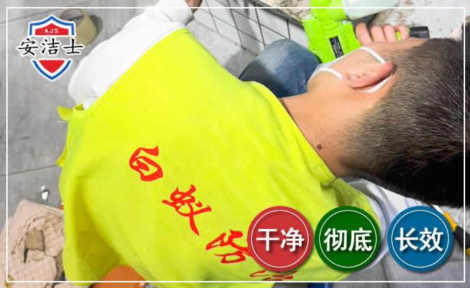 安吉白蚁根治现场